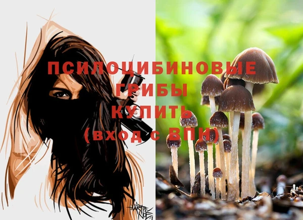героин Арсеньев