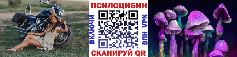 Галлюциногенные грибы прущие грибы  OMG онион  Малоярославец  купить  